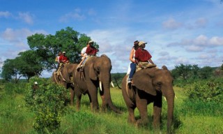 Elephant Back Safaris Victoria Falls Elephant Back Safaris Victoria Falls